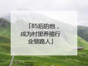 85后的他，成为村里养殖行业领路人