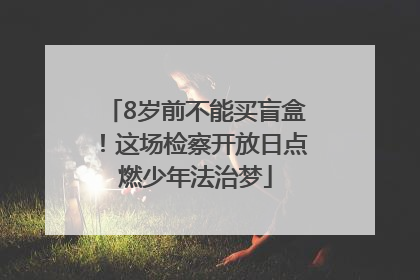 8岁前不能买盲盒！这场检察开放日点燃少年法治梦