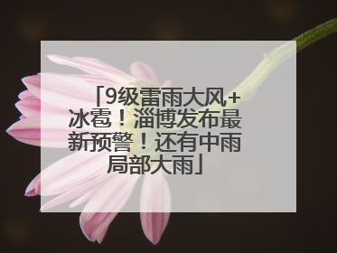 9级雷雨大风+冰雹！淄博发布最新预警！还有中雨局部大雨