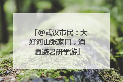 @武汉市民：大好河山张家口，消夏避暑研学游