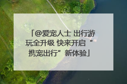 @爱宠人士 出行游玩全升级 快来开启“携宠出行”新体验