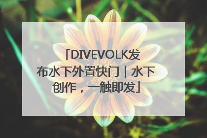 DIVEVOLK发布水下外置快门｜水下创作，一触即发