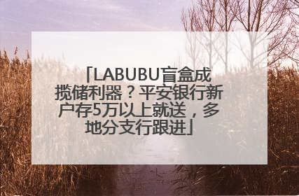 LABUBU盲盒成揽储利器？平安银行新户存5万以上就送，多地分支行跟进