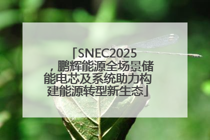 SNEC2025，鹏辉能源全场景储能电芯及系统助力构建能源转型新生态