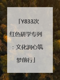Y833次红色研学专列：文化润心筑梦前行